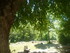 P COMME PARC AUX LOUPS DE SAIN