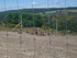 P COMME PARC AUX LOUPS DE SAIN