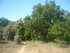 A COMME APT - VAUCLUSE - FRANC
