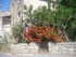 A COMME APT(2) - VAUCLUSE - FR