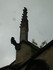 T COMME TARASCON (2) - BOUCHES