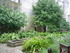 T COMME TARASCON (4) - BOUCHES
