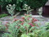 T COMME TARASCON (4) - BOUCHES