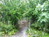 T COMME TARASCON (4) - BOUCHES