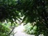 T COMME TARASCON (4) - BOUCHES