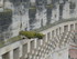 T COMME TARASCON (5) - BOUCHES