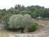 L COMME LE PONT DU GARD - GARD