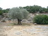 L COMME LE PONT DU GARD - GARD