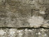 L COMME LE PONT DU GARD (2) - 