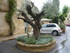 C COMME CASTILLON DU GARD - GA