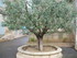 C COMME CASTILLON DU GARD (2) 