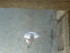 A COMME AIGUES MORTES (3) - GA