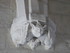A COMME AIGUES MORTES (5) - GA