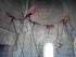 A COMME AIGUES MORTES (5) - GA
