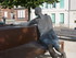 C COMME CHARTRES (3) - EURE ET