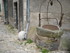 B COMME BOURGES (2) - CHER - F