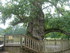 P COMME PAIMPONT - ILE ET VILA