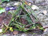 T COMME LE TOMBEAU DE MERLIN -