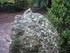 T COMME LE TOMBEAU DE MERLIN -