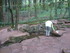 T COMME LE TOMBEAU DE MERLIN -