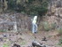 T COMME LE TOMBEAU DE MERLIN -