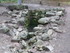 F COMME FONTAINE DE BARENTON -