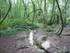 F COMME FONTAINE DE BARENTON -