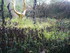 F COMME FONTAINE DE BARENTON -