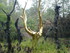 F COMME FONTAINE DE BARENTON -