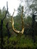 F COMME FONTAINE DE BARENTON -