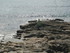 Q COMME QUIBERON - MORBIHAN - 