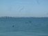 Q COMME QUIBERON (2) - MORBIHA