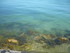 Q COMME QUIBERON (2) - MORBIHA