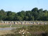 C COMME CARNAC - MORBIHAN - FR