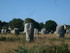 C COMME CARNAC (2) - MORBIHAN 