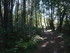 C COMME CARNAC (2) - MORBIHAN 
