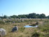 C COMME CARNAC (2) - MORBIHAN 
