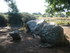 C COMME CARNAC (3) - MORBIHAN 
