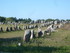 C COMME CARNAC (3) - MORBIHAN 