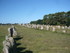 C COMME CARNAC (3) - MORBIHAN 