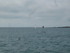 L COMME LARMOR BADEN (2) - MOR
