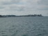 L COMME LARMOR BADEN (2) - MOR