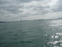 L COMME LARMOR BADEN (2) - MOR