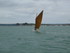 L COMME LARMOR BADEN (2) - MOR