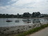 I COMME ILE AUX MOINES - MORBI
