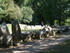 T COMME TUMULUS DU MOUSTOIR - 