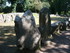 T COMME TUMULUS DU MOUSTOIR - 