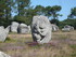 T COMME TUMULUS DU MOUSTOIR - 