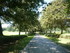 T COMME TUMULUS DU MOUSTOIR - 