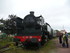 P COMME PAIMPOL - COTE D'ARMOR